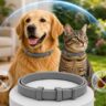 Anti Flea Collar for pets