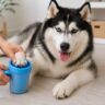 paw cleaning brush for dogs and cats