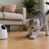 cats laser toys