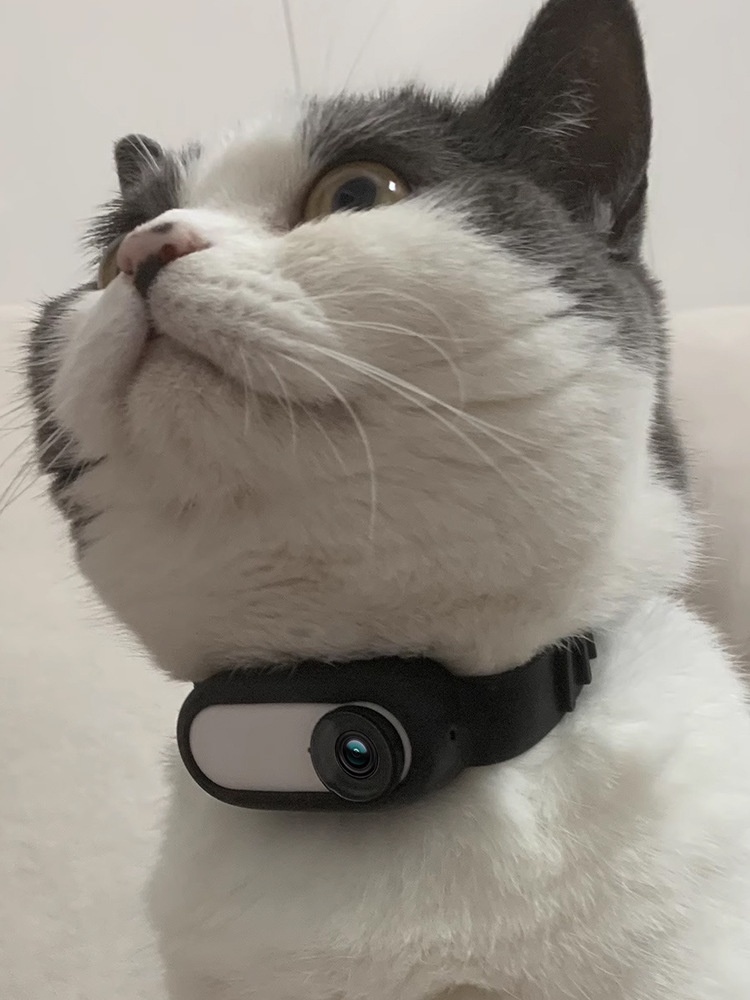 Pet Supplies Cat And Dog Collar Camera Indoor And Outdoor Wireless Recording - Image 9