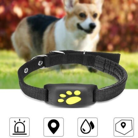 GPS Pet Tracker for Dogs & Cats