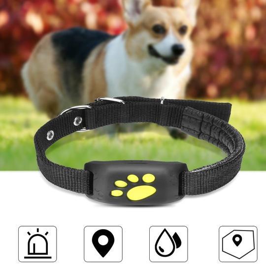 GPS Pet Tracker for Dogs & Cats