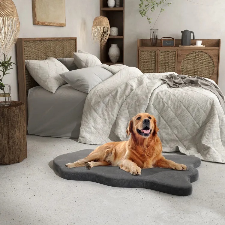Orthopedic Memory Foam Dog & Cat Bed