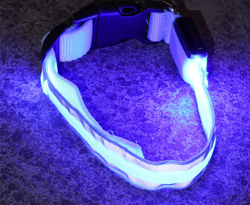 LED Reflective Anti-Lost Dog Collar - Blue battery model, M